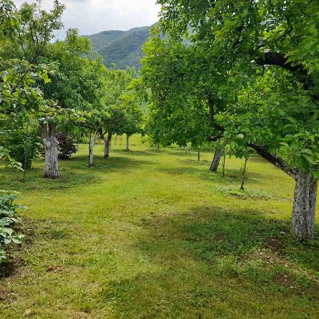 Hostal Aleksa Cetinje Exterior foto
