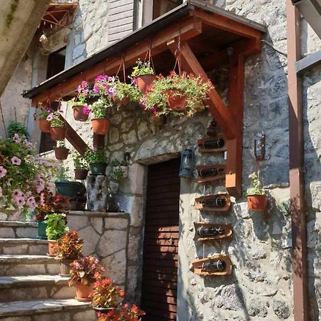 Hostal Aleksa Cetinje Exterior foto