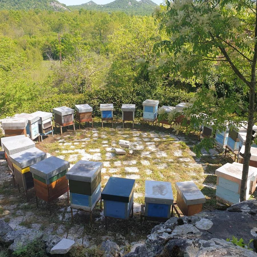 Hostal Aleksa Cetinje Exterior foto