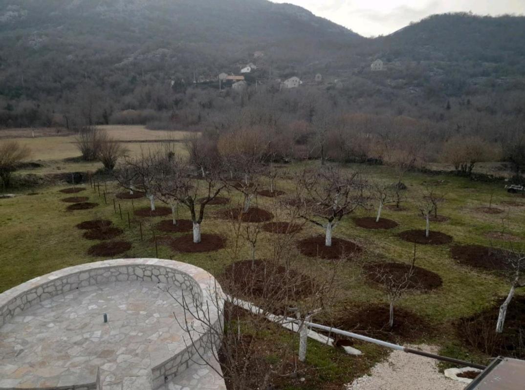 Hostal Aleksa Cetinje Exterior foto