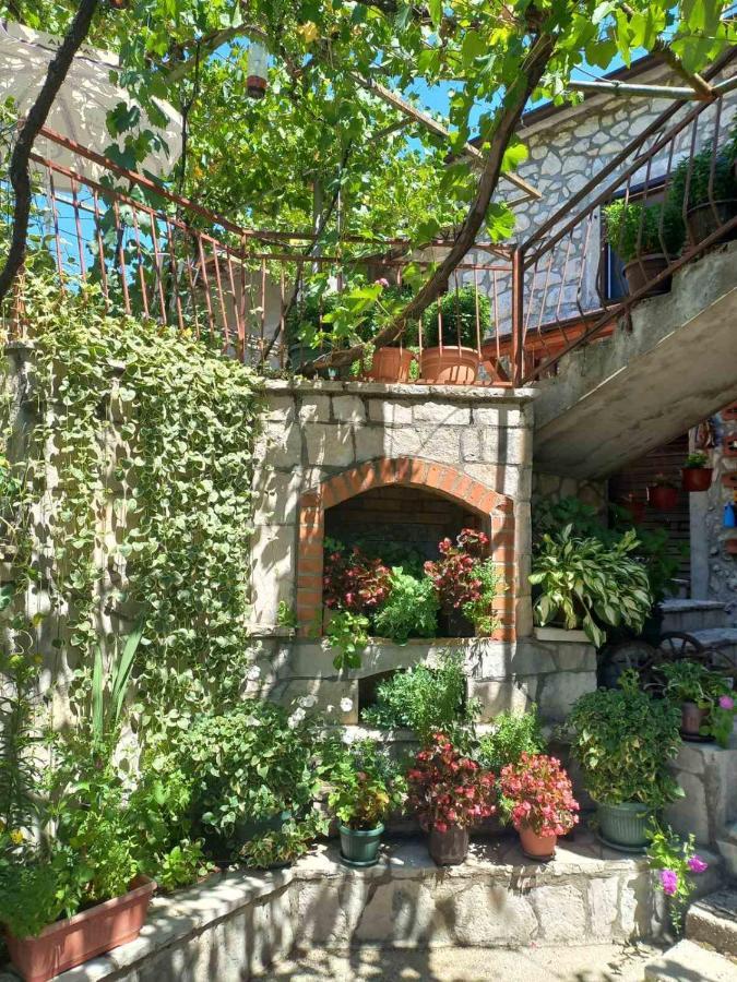 Hostal Aleksa Cetinje Exterior foto