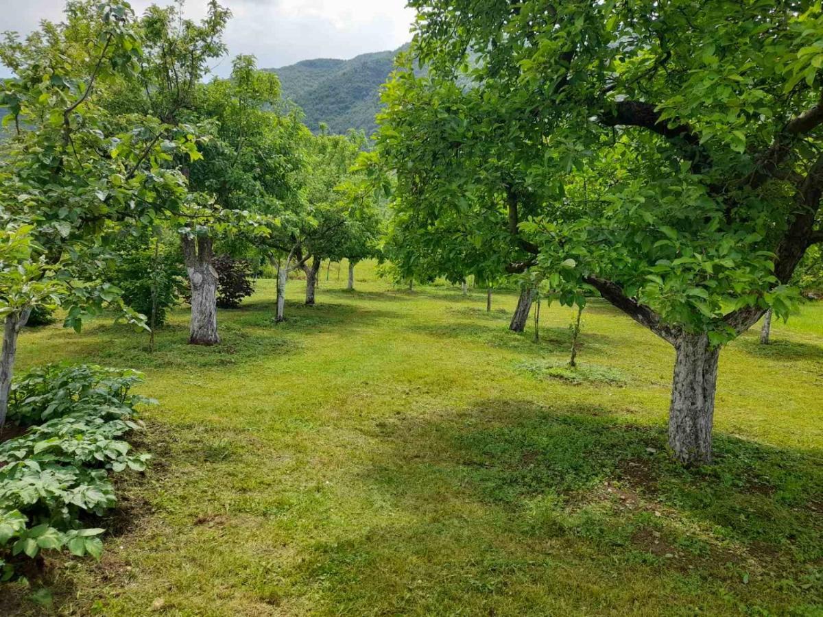 Hostal Aleksa Cetinje Exterior foto